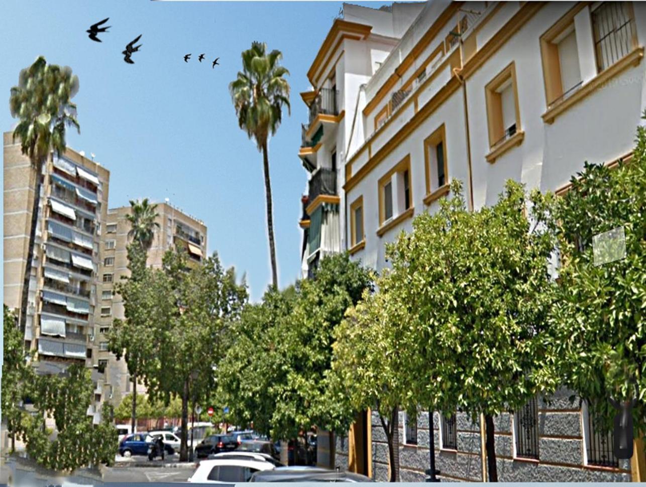 Apartamento San Juan De Dios Севилья Экстерьер фото